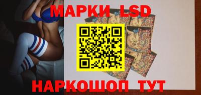 дмт Кандалакша