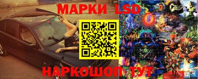 дмт Кандалакша