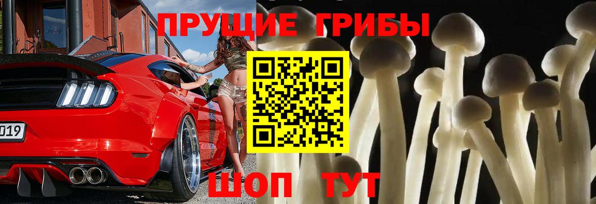 Верхний Уфалей  Галлюциногенные грибы Psilocybe  Вход с VPN 