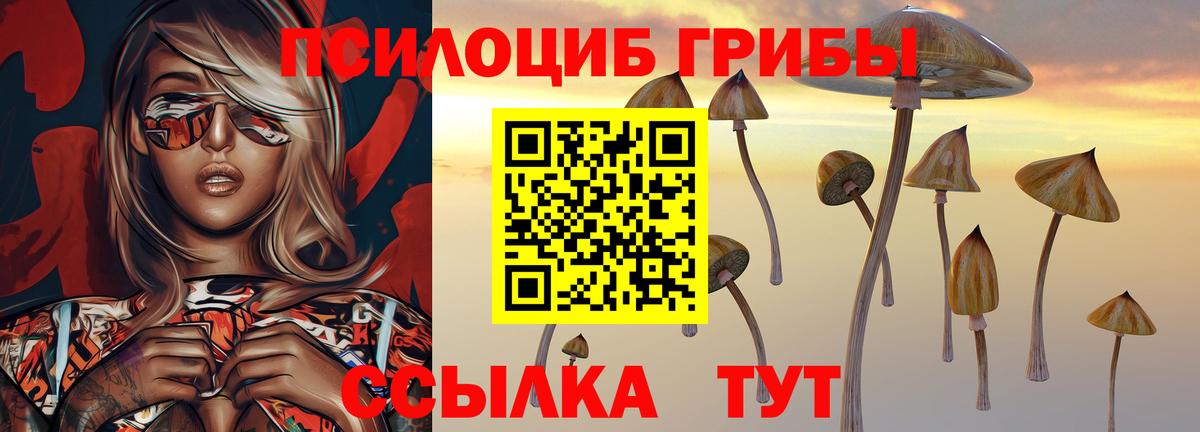 Галлюциногенные грибы GOLDEN TEACHER Верхний Уфалей